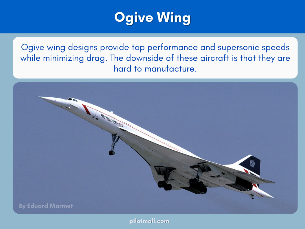 Ogive Wing  - Explanation of the Types of aircraft wings