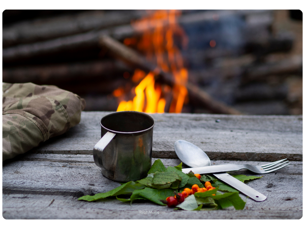 a survivalist's wood table with a mug leaves and berries