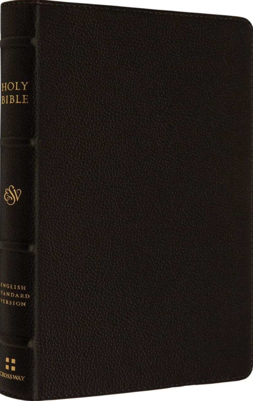 esv-large-print-compact-bible-buffalo-leather-deep-brown