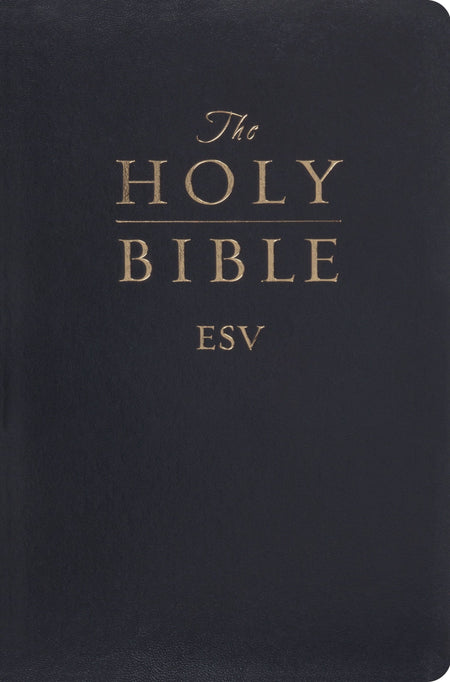 buy a bible near me