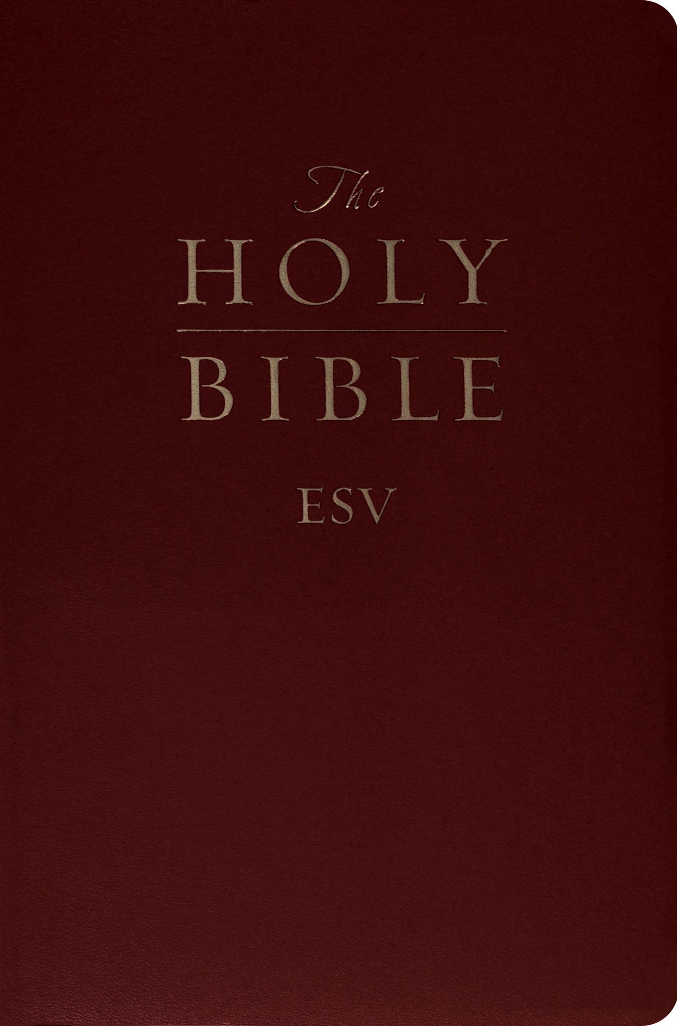 best bible to purchase