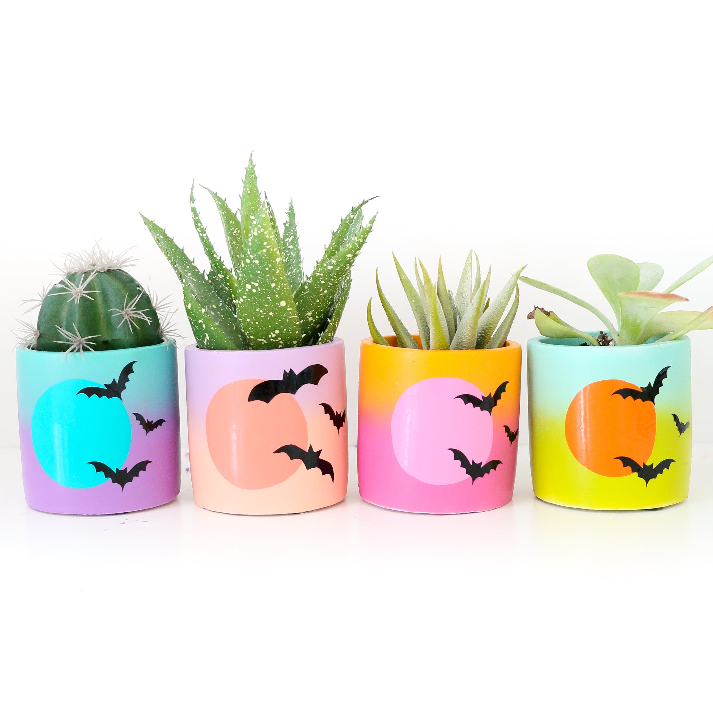 Colorful Gradient Planters for Halloween