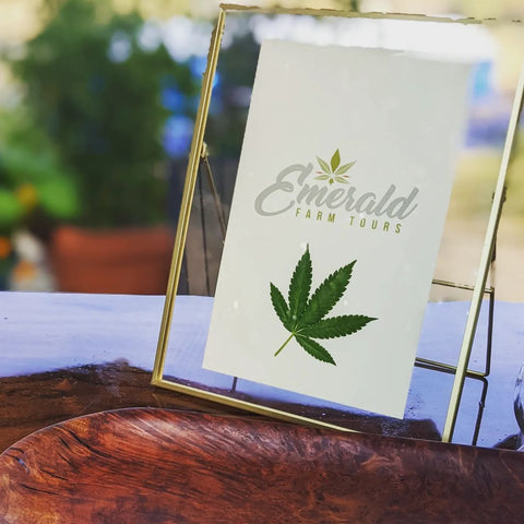 The Perfect Weed Wedding Event Needs Cannabis Bar Services