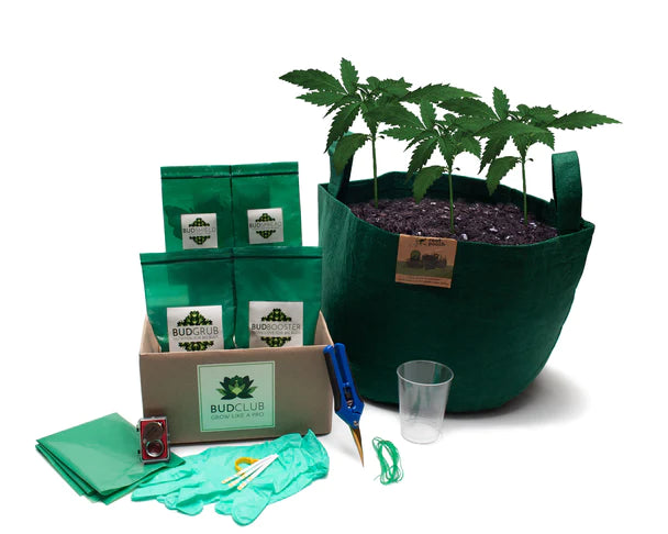 BudClub™ Makes Home Growing as Easy as 1, 2, 3 Relax! We've simplified the home growing experience and used years of curated research in creating our kits guaranteeing successful growing and big, beautiful buds