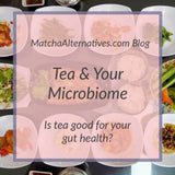 Tea & Your Microbiome