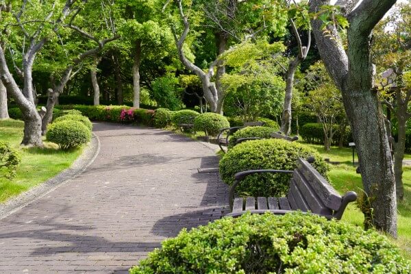 A Japanese Garden in Tokyo