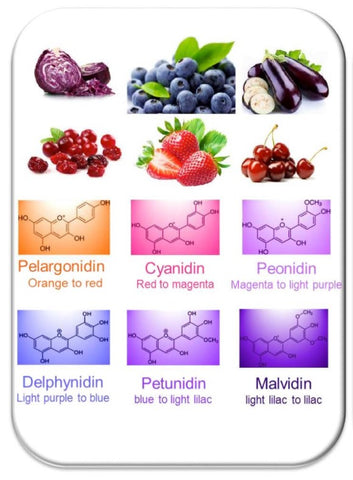 Anthocyanin Antioxidants - Tena et al 2020