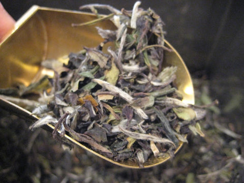 Bai Mu Tan White Peony Tea