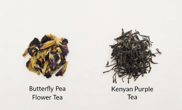 Butterfly Pea Flower Tea vs Purple Tea Loose Leaf
