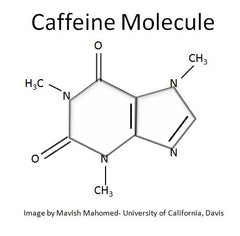 Caffeine Molecule