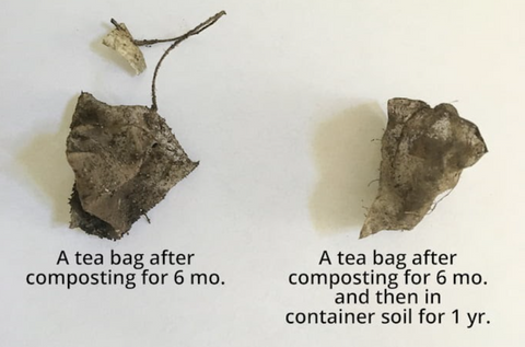 composted tea bags over time
