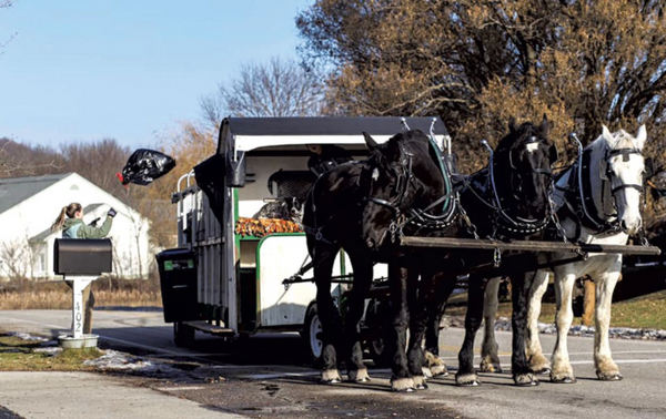 Vermont Draft Trash - Compost Pick Up by Horse