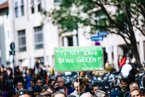 "It's Not Easy Being Green" Sign at Protest