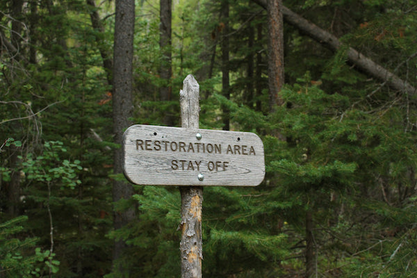 Forest Restoration Sign 