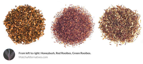 Rooibos vs Honeybush vs Green Rooibos