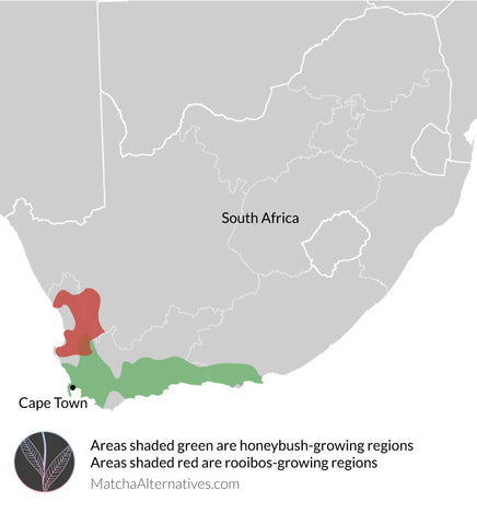 Honeybush and Rooibos Growing Regions - Matcha Alternatives