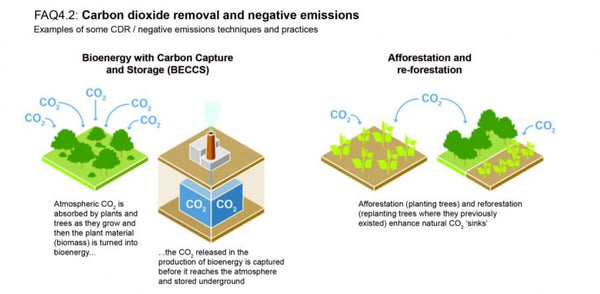 IPCC FAQ-4.2 CDR Methods Afforestation & Reforestation