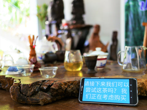 Laos Tea Google Translate - Matcha Alternatives