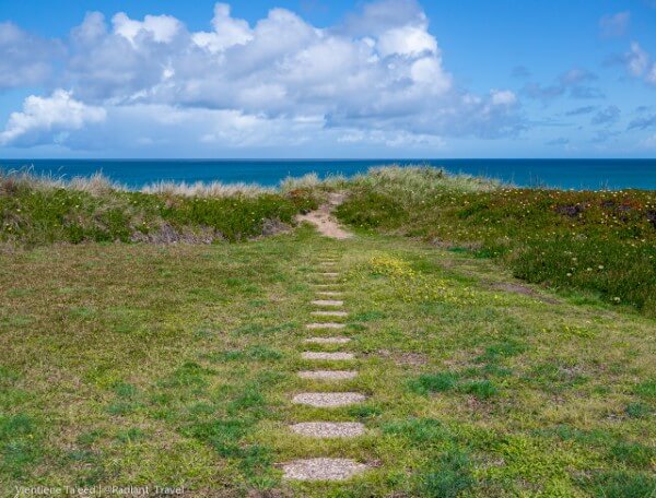 Path to a Cliff Edge