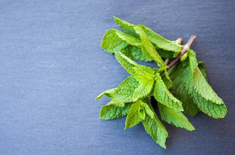 Peppermint Leaves