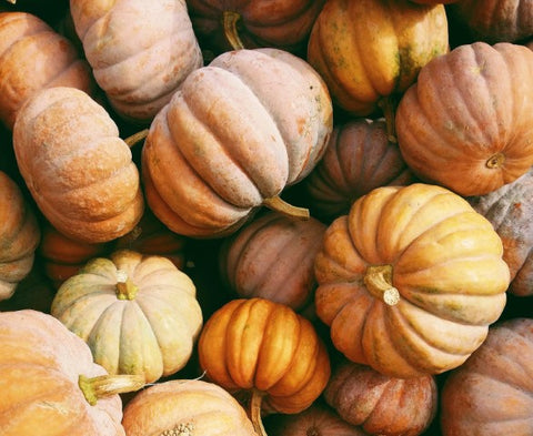 Pile of orange pumpkins