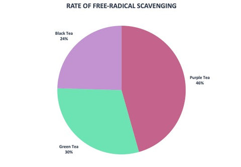 Rates of Free Radical Scavening in  Black Green and Purple Tea_Image by MatchaAlternatives