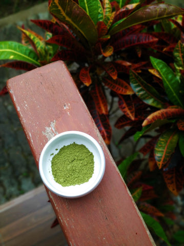 Superior Moringa Tea Powder - Matcha Alternatives