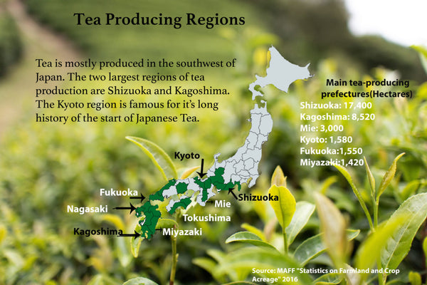 Tea Growing Regions Japan