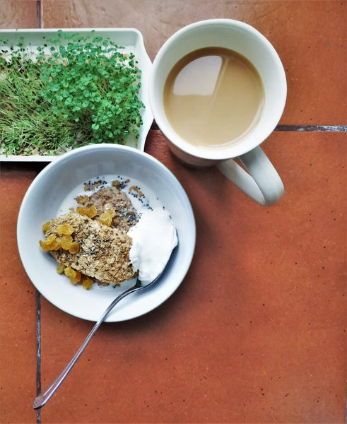 Tea for Gut Health Healthy Breakfast Chia Seeds