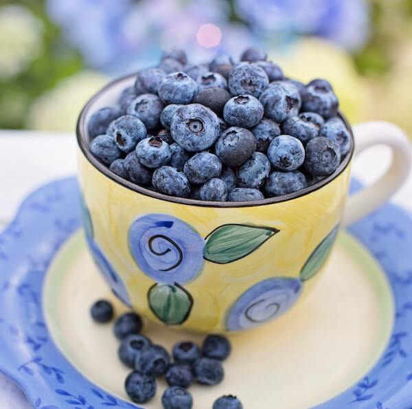Teacup of Blueberries