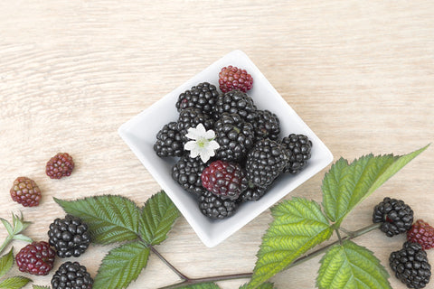 Blackberries are high in antioxidants