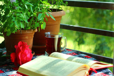 Rooibos tea next to an open book