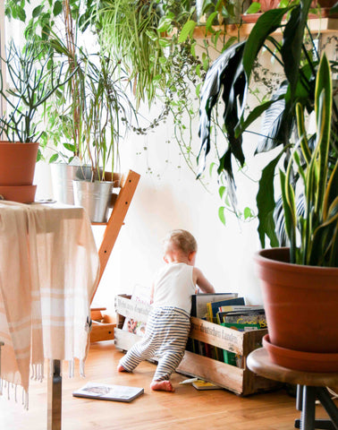 Toddler looking at picture books