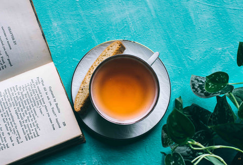 Teacup with book and plant