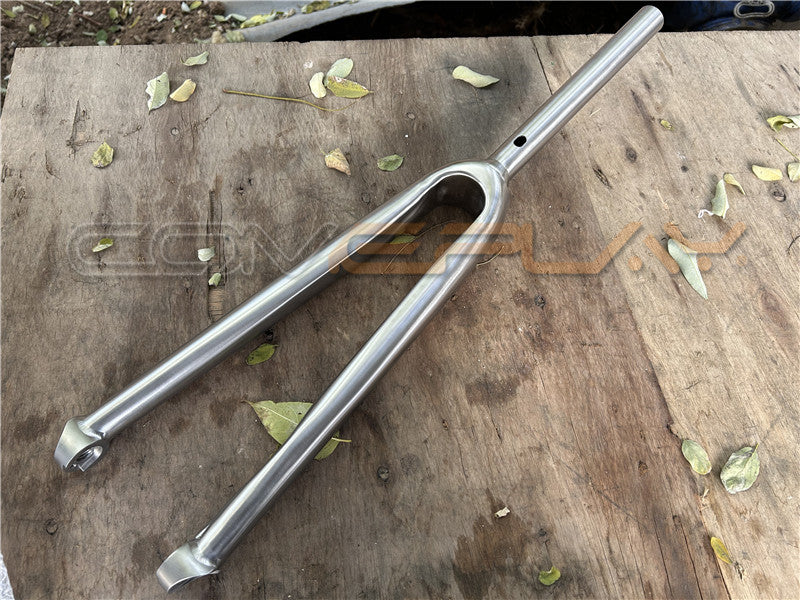 titanium gravel fork