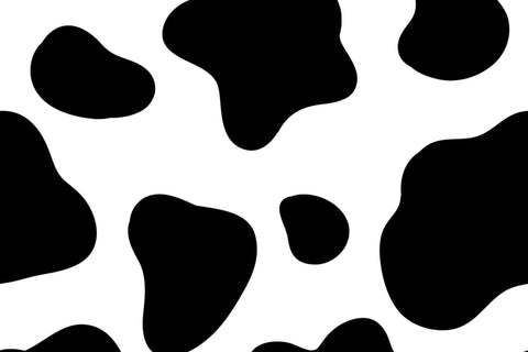 The Cow Print Collection