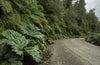 Carretera Austral Norte