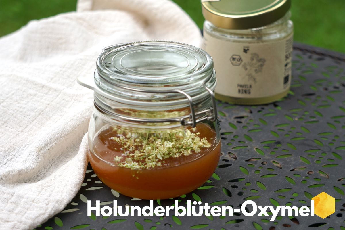 Holunderblüten Oxymel