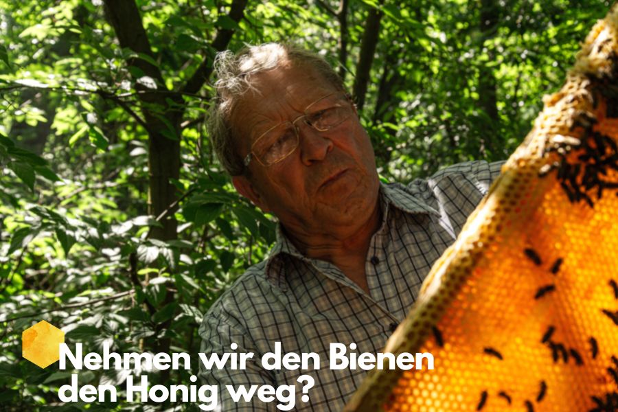 Nehmen wir den Bienen den Honig weg?