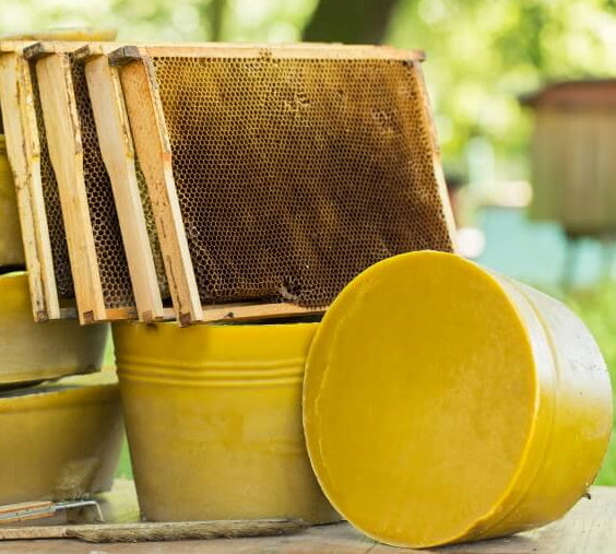 bienenwachs eigenschaften bei holz