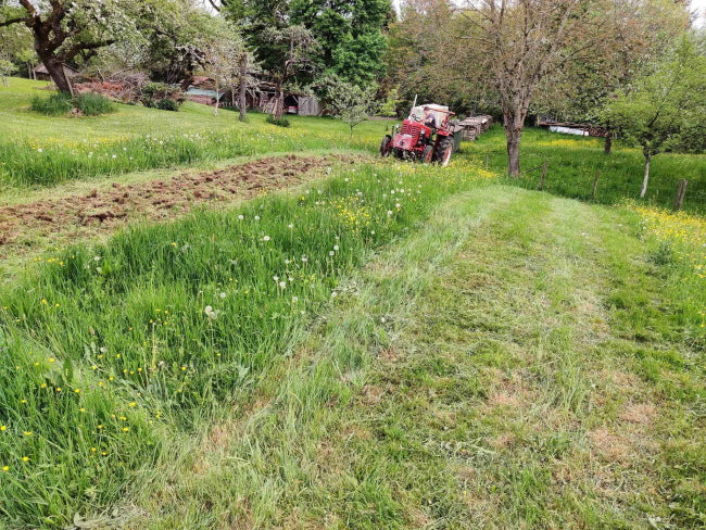 blühstreifen auf wiese anlegen umgraben