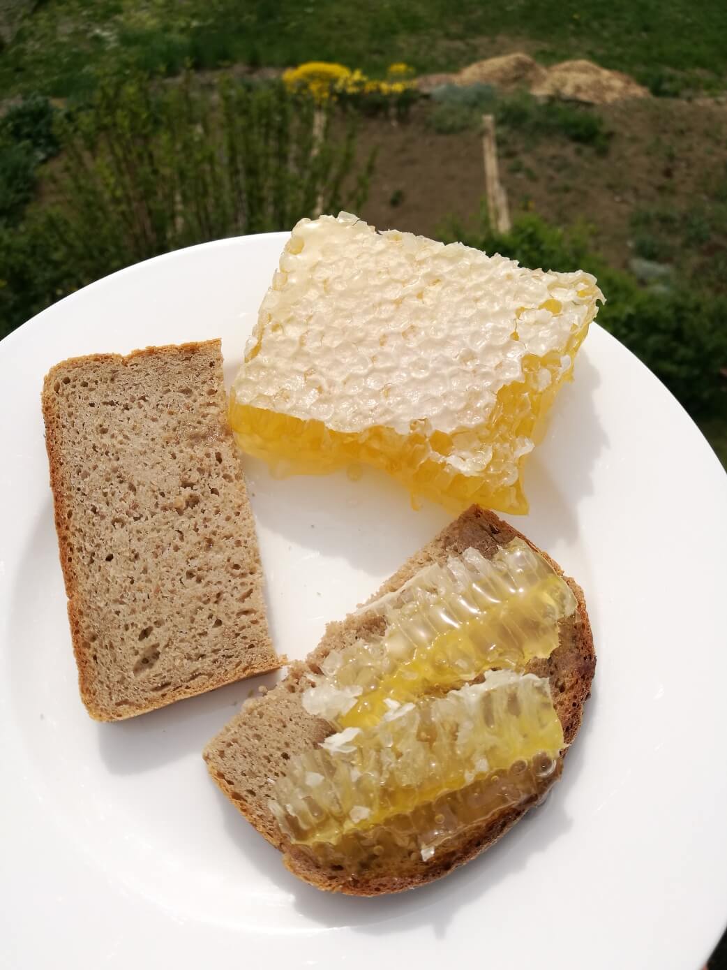 Kann Man Honigwaben Essen Und Sind Sie Gesund Beegut Blog