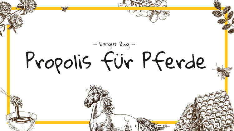 propolis für pferde