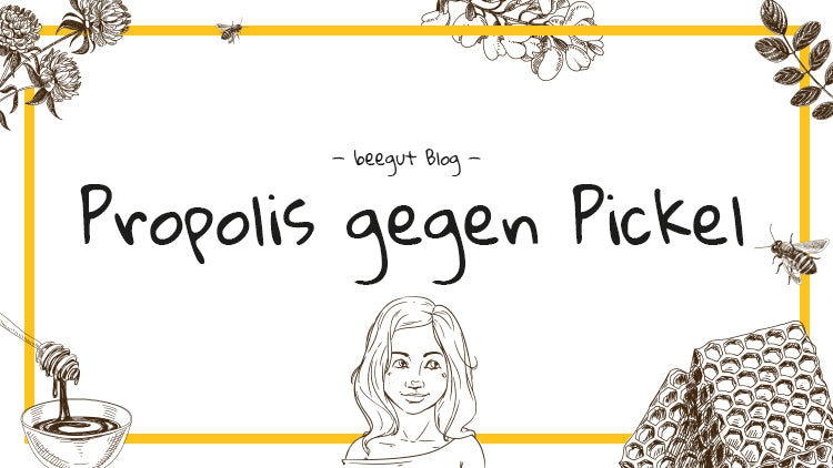 propolis gegen pickel