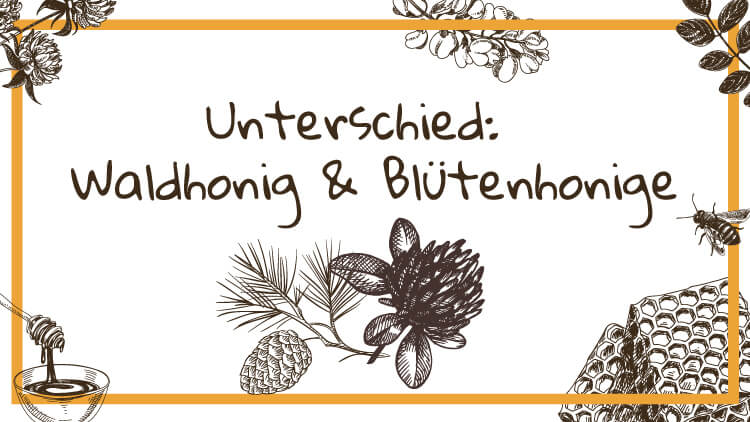 Blütenhonig Waldhonig