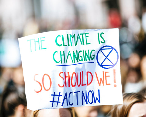 Image of a protest sign from a day of climate action that reads "The climate is changing- so should we! #actnow"