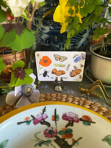 Garden Variety--Event Size Upright Custom Place Card--Hand Illustrated WaterColor Poppies Butterfly Grasshopper Spider Beetle Ants Cornflower Walnut