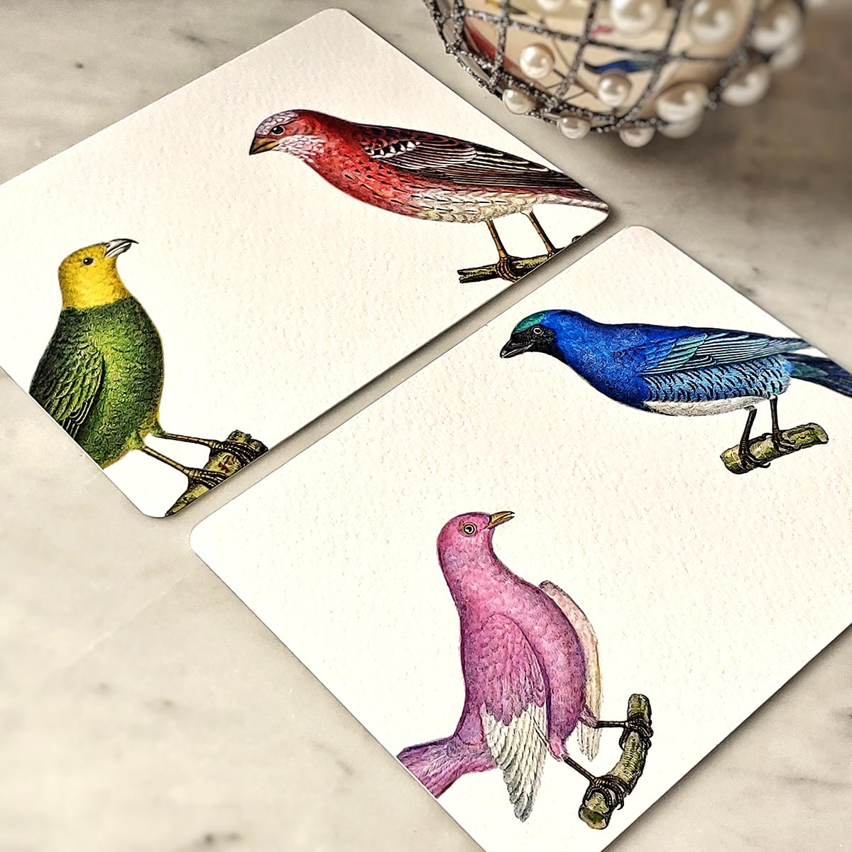 Chromatic Cuckoo- Pack of Custom Note Cards