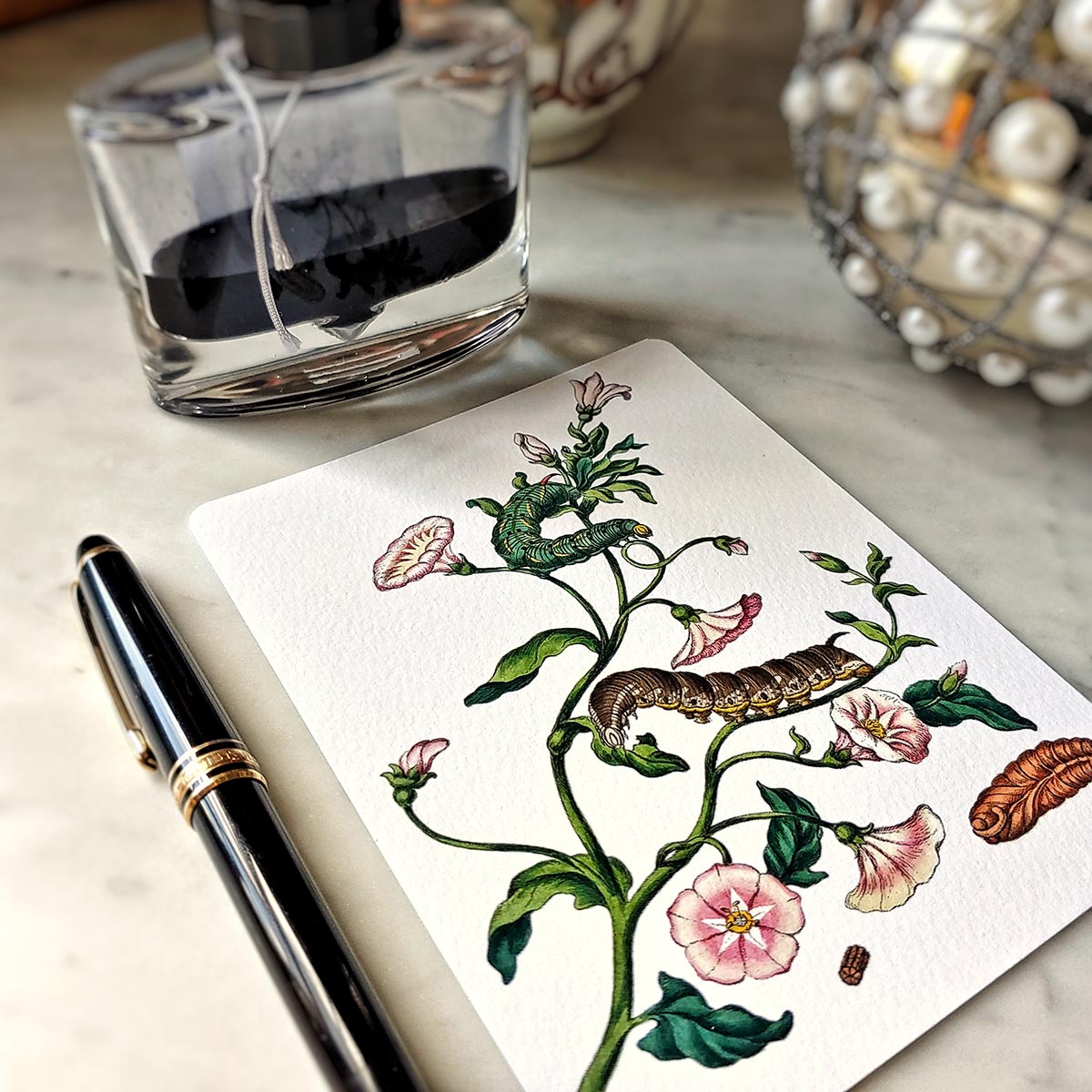 Signs of Spring- Pack of Custom Note Cards