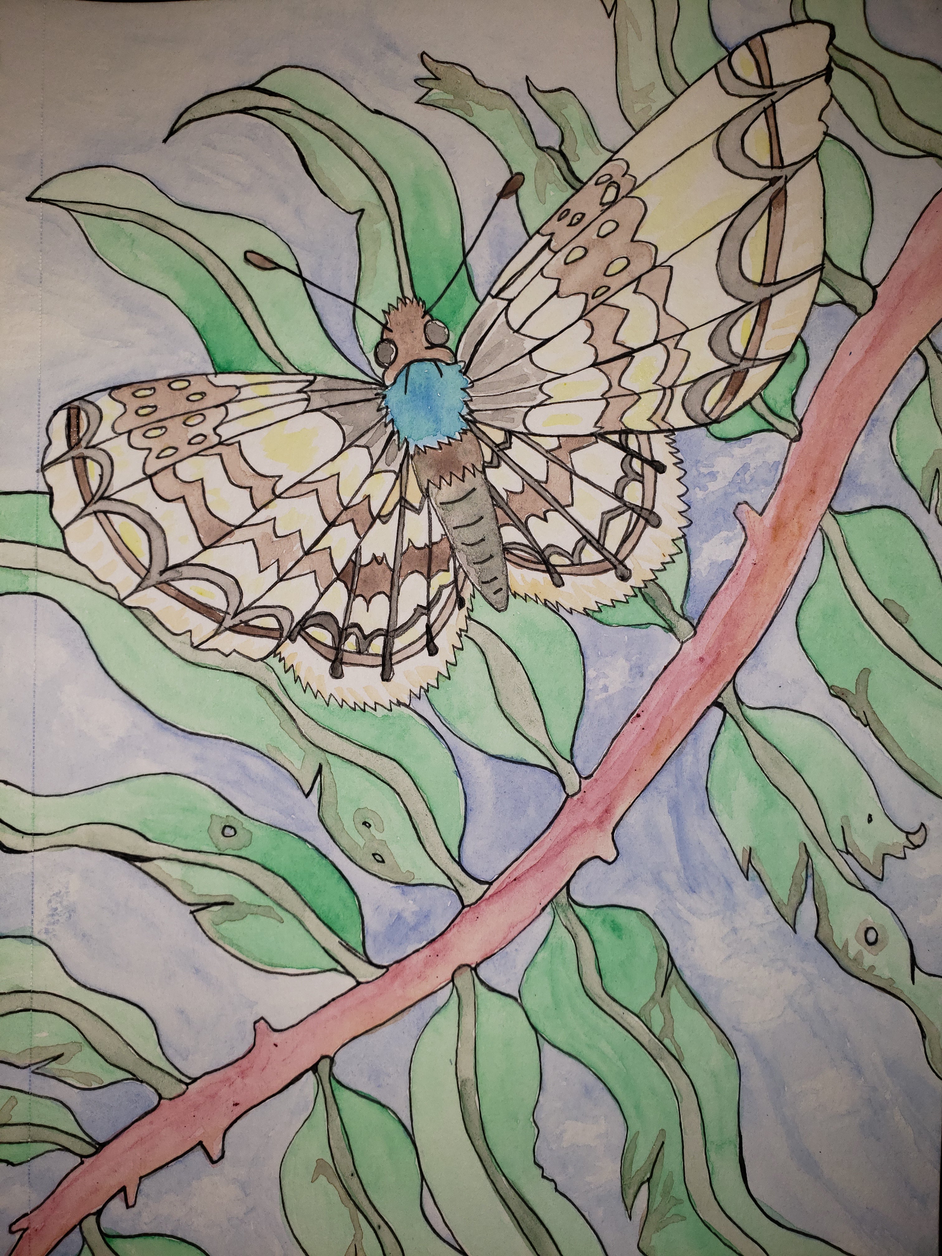 Gulf Fritillary Butterfly, watercolor painting, artsy sister teresita blanco